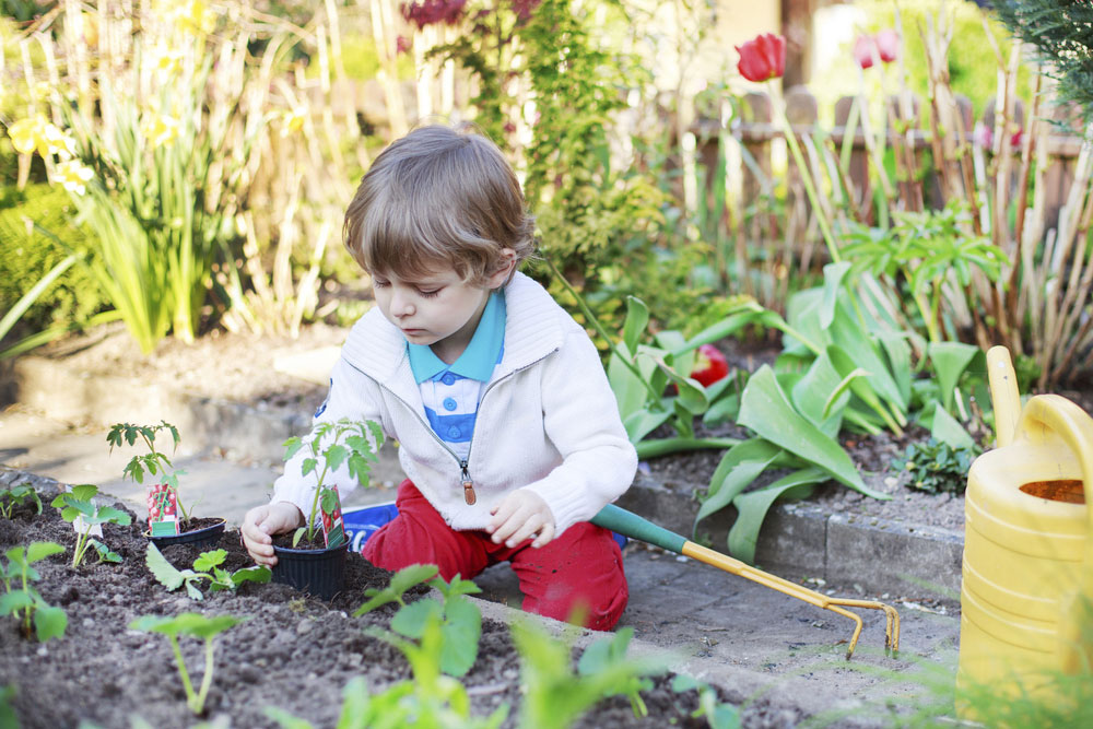 Teach Children Gardening Skills For The Future » Shetland
