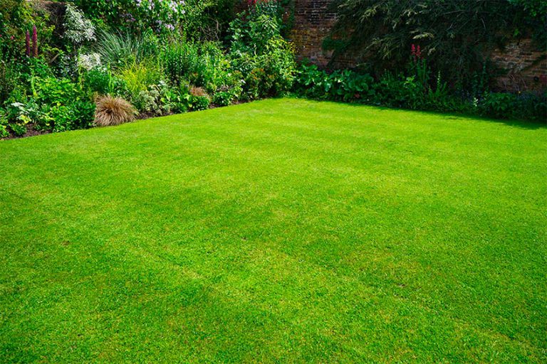 How To Turf A Lawn