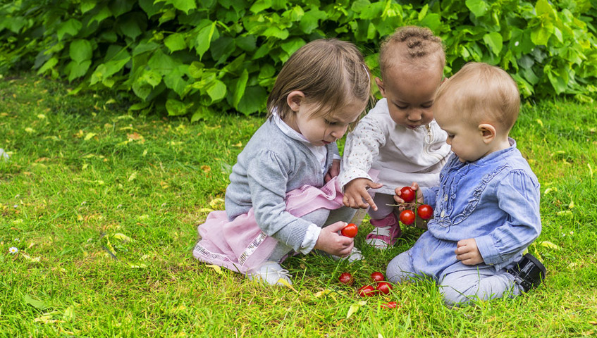 Make Your Garden a Safe Haven for Toddlers