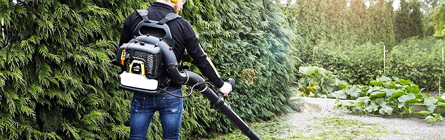 Best petrol leaf blower [UK]: for large gardens, professional and powerful  leaf blowers compared » Shetland's Garden Tool Box