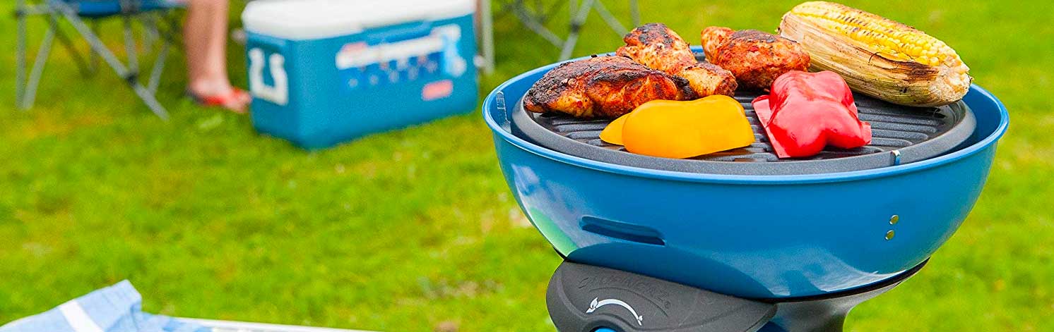 Best gas bbq reviewed for price and quality [Summer 2021] Shetland's Garden Tool Box