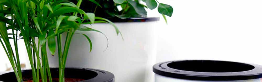 Cole & Mason Fresh Herb Range Self-Watering Potted Herb Keeper Enamel Coated 