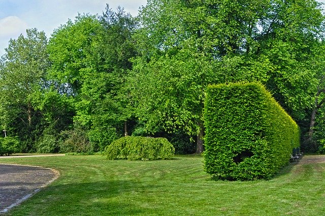 bosch cordless telescopic hedge trimmer