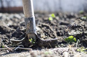 equipment-digging