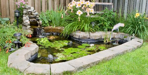 garden pond