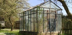 greenhouse-in-spring