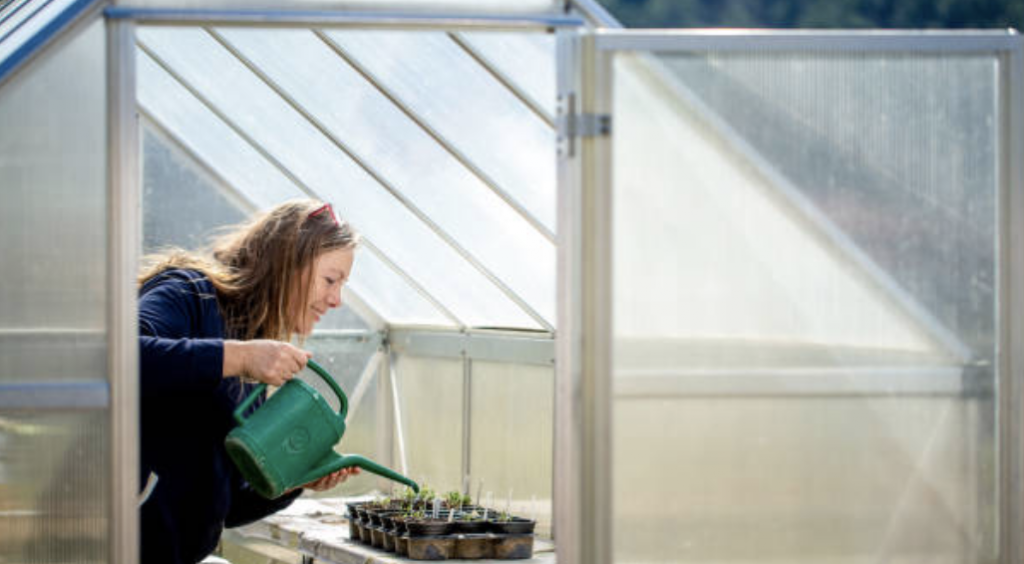 growing-in-greenhouse