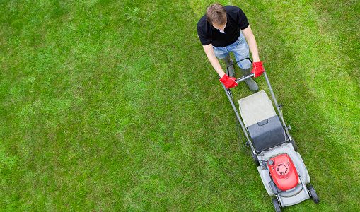 lawnmover-Striped Lawn