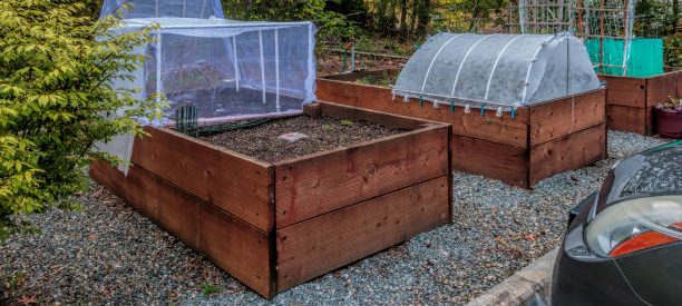 Raised Planters