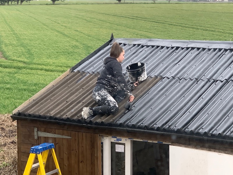 Best shed roof sealants: how to seal a leaky shed roof? » Shetland's ...