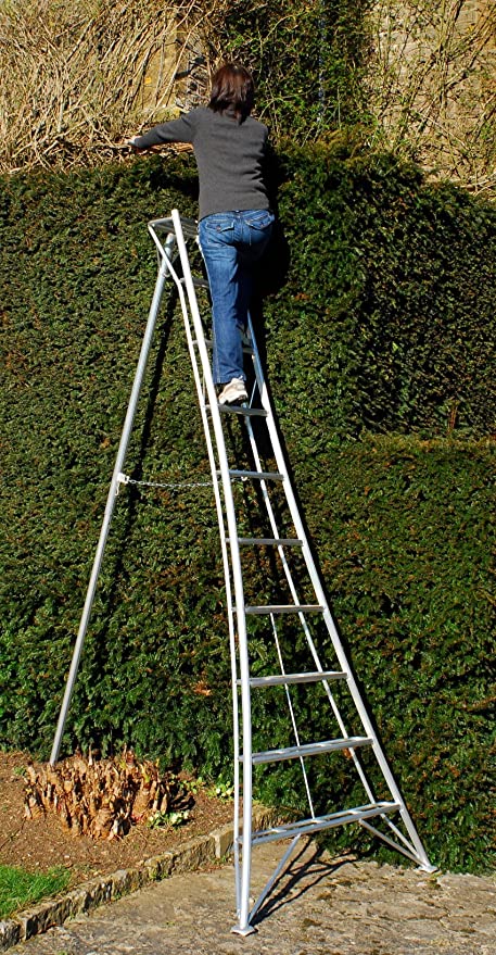 Niwaki 10' Tripod Ladder