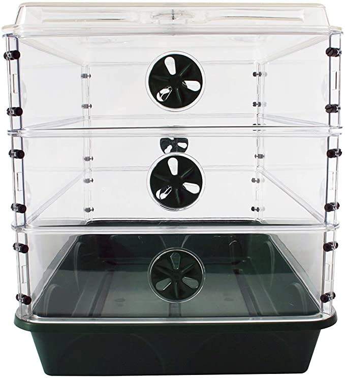 EarlyGrow 24 x 15 x 16.75 Inch. Domed Propagator with 3 Height Extenders and Locking Clip Set,