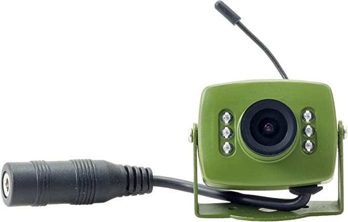 Green Feathers Wireless Bird Box