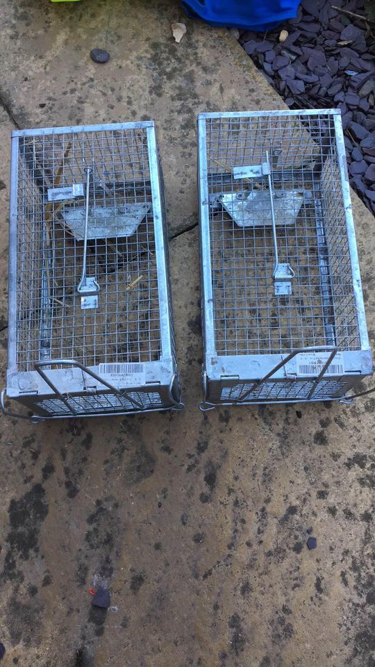 Racan 1 x Multi-Catch Live Capture Humane Rat Cage Trap No Poison or Kill 