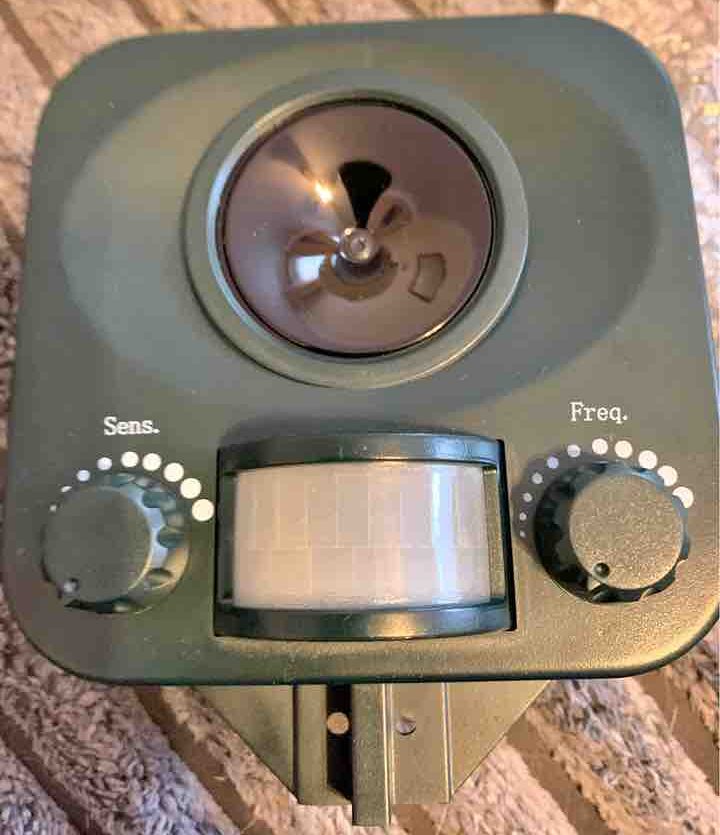 What is the Best Ultrasonic Pest Repeller for Cats