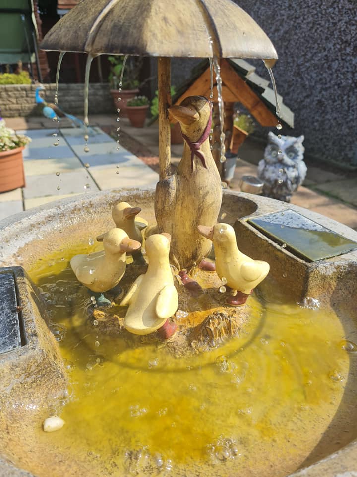 TCCSTAR Solar Fountain,Floating Solar Pump Bird Bath Fountain Self powered For Garden and Patio Watering Black 