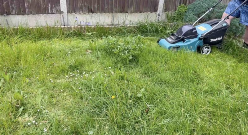 søn Sow Udvikle UK's best cordless lawn mowers TESTED: Makita, Bosch, Flymo, Ryobi, WORX,  Greenworks » Shetland's Garden Tool Box