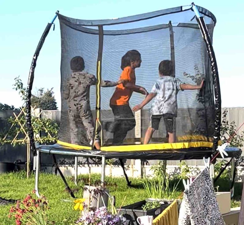 Mig selv Symptomer teknisk UK's best trampolines for kids and adults » Shetland's Garden Tool Box