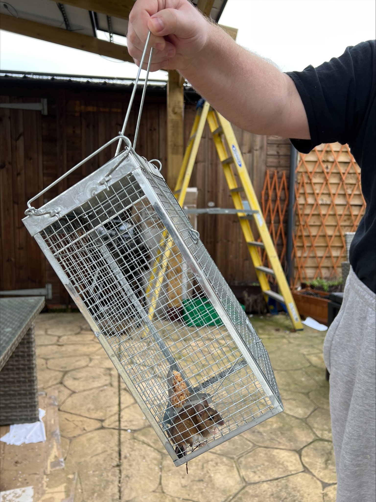 https://www.gardentoolbox.co.uk/wp-content/uploads/2023/01/Gingbau-Humane-Rat-Trap-me-demonstrating-how-it-can-be-held-by-the-trap-door-trigger-safely-as-to-avoid-contact-with-any-rodent.jpg